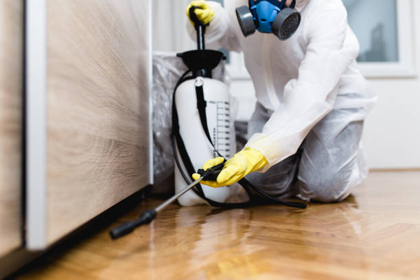 Best Best Pest Control Companies  in Noel, MO